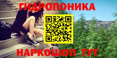 прущие грибы Изобильный