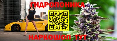 прущие грибы Изобильный